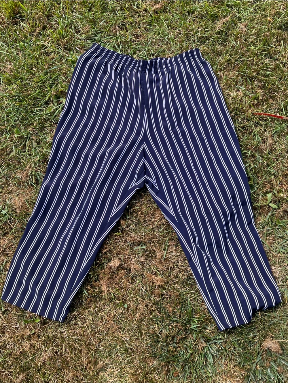 Women’s Striped Tanjay Navy Pants